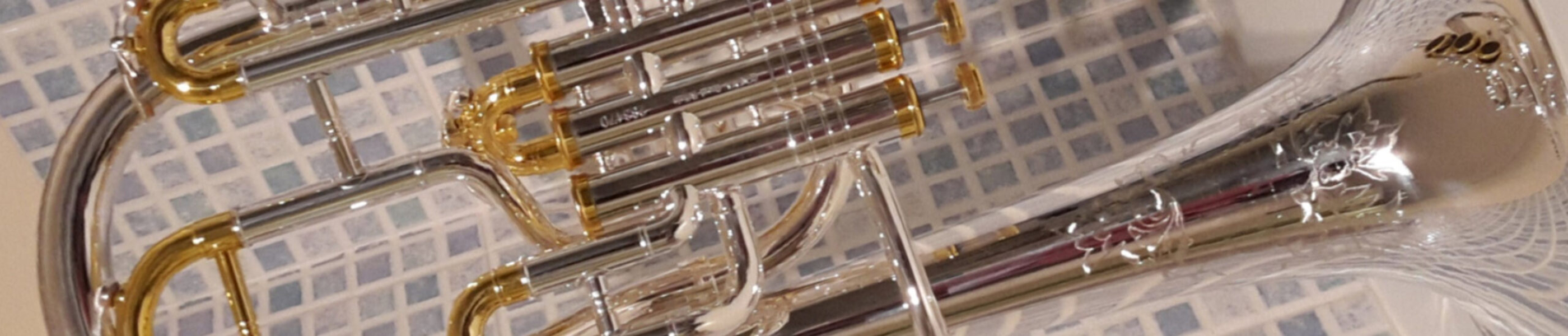 Tenor Horns for sale