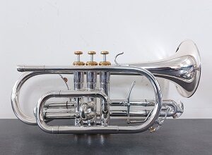 Trevada Music CR900 Cornet