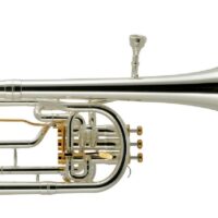 Besson Prestige 2050G Tenor Horn