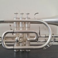 York Eminence Cornet